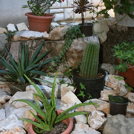 With A Parking Space Bibinje, Zadar - 5741 Διαμέρισμα